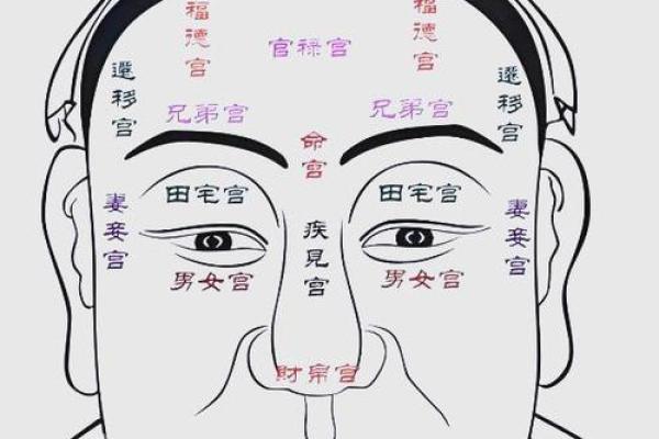 面相算命图解十二宫之:命宫 面相算命图解十二宫之:命宫