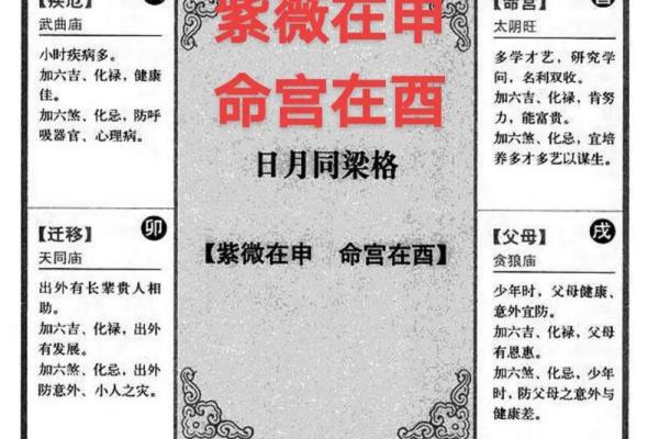 博士紫微斗数 紫微斗数 命宫 博士? 博士紫微斗数 紫微斗数 命宫 博士?