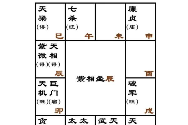 紫薇斗数书籍详解 紫薇斗数书籍详解