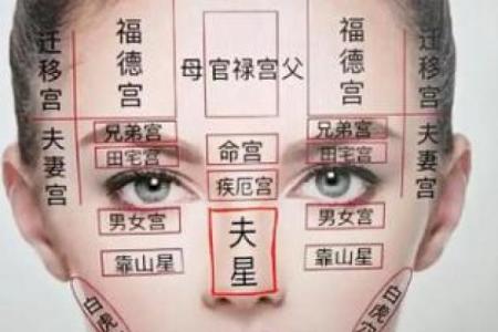 面相算命图解十二宫之：命宫