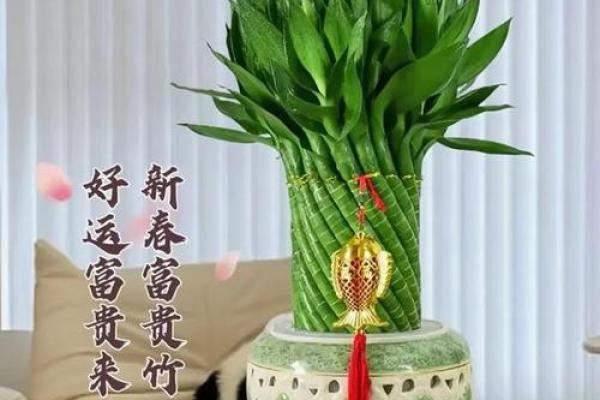 风水金命的人家里适合摆什么提升运势 风水金命的人家里适合摆什么提升运势