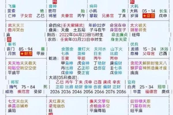 八字十神排盘紫薇斗数