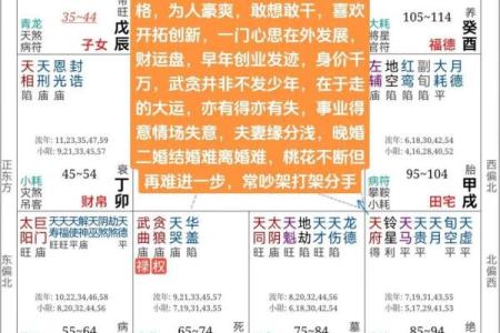 紫微斗数之四化论断法详释：命盘六条线