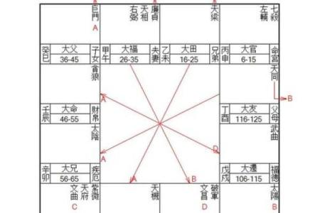 八字十神排盘紫薇斗数