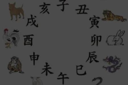 八字寅数字是几