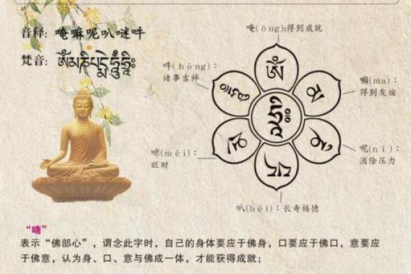 生命可贵八字真言怎么说