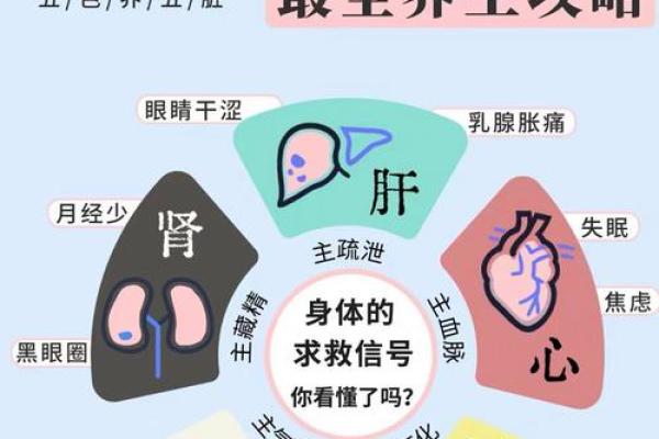 有利于公司健康与事业发展的环境气场风水 有利于公司健康与事业发展的环境气场风水