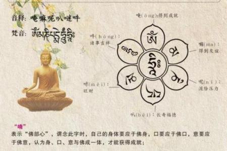 生命可贵八字真言怎么说