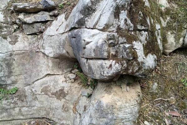 龙的风水作用,龙如何防小人 龙的风水作用,龙如何防小人