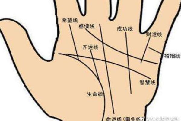 手相算命图解事业线 手相算命图解事业线