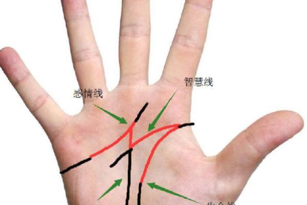 手相算命图解事业线 手相算命图解事业线