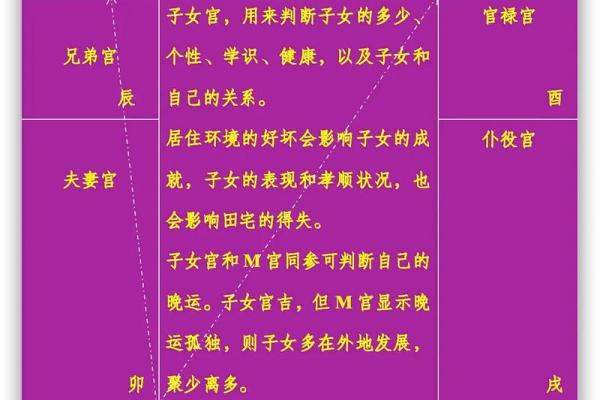 紫薇斗数武职 紫薇斗数武职