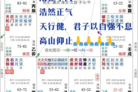 甲戌年午时生人紫微斗数 甲午日甲戌时八字？