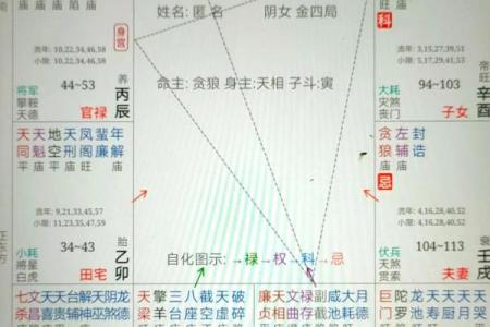 紫微斗数诸星落诸宫之：廉贞星子女宫详解