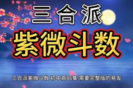 紫薇斗数太阳夫妻