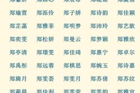 教你给属鸡酉时出生的男孩起名的实用技巧姓名