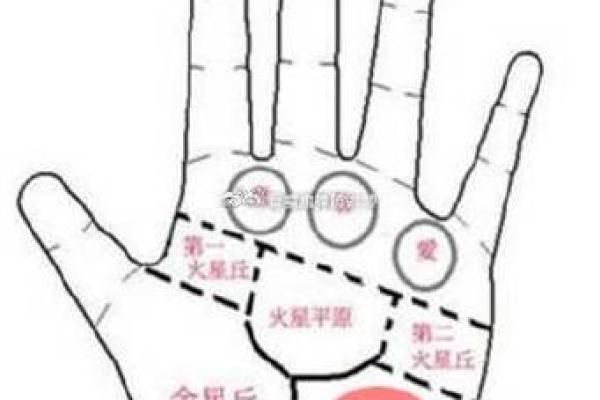 手相-掌丘算命图解 手相-掌丘算命图解