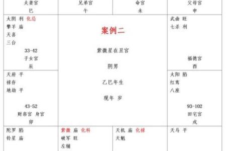 紫薇斗数怎么分析