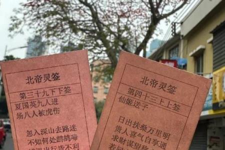 北帝灵签22详解