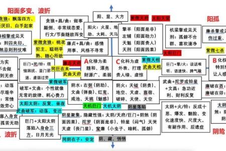 如何通过紫薇斗数看学业