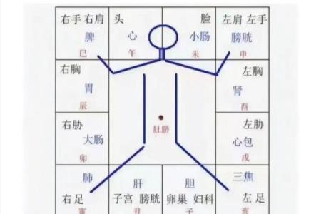 紫微斗数之疾厄宫与诸星，紫微星在疾病宫是什么意思？