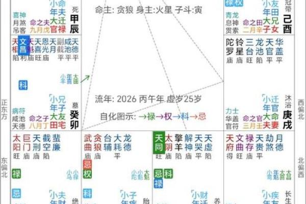 紫薇豆斗数软件