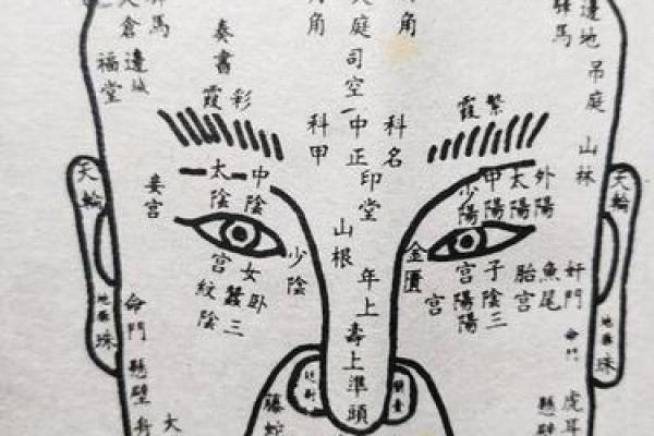 面相学：通过面相断家中风水秘决！