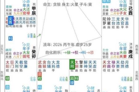 紫薇豆斗数软件