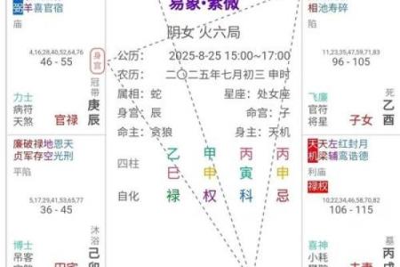 紫薇斗数流年宫位怎么看