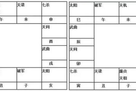 紫薇斗数性格定盘
