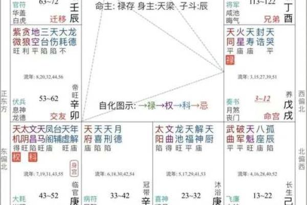 紫薇斗数批大限