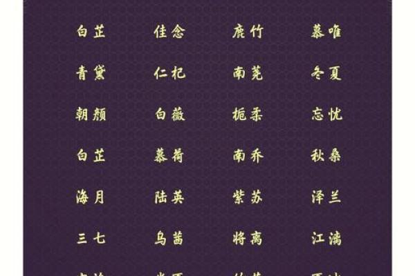 药店名字大全-名字大全姓名