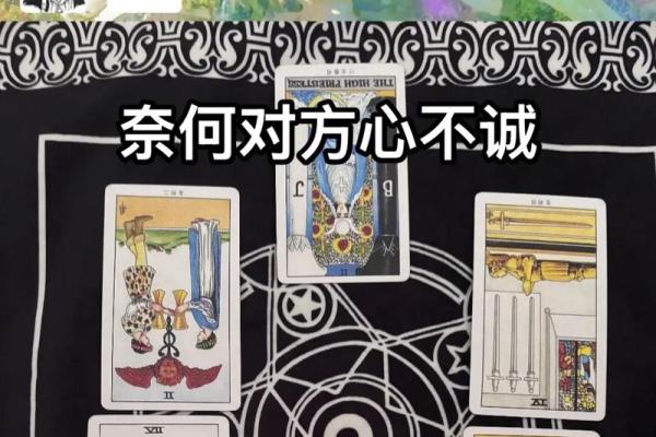 塔罗测试感情未来走向