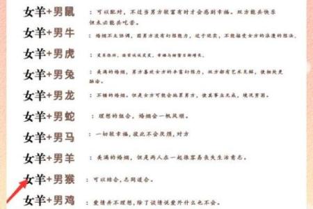 双羊八字详批：性格、婚姻、事业、财运，全面解析！