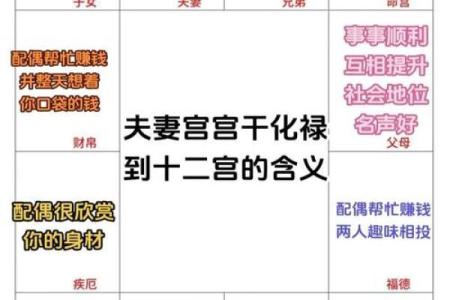 紫薇斗数中国网