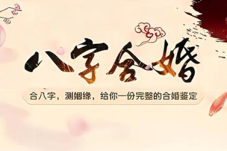 合八字软件