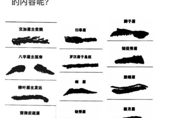 风水角度：柳叶眉女生的面相解释