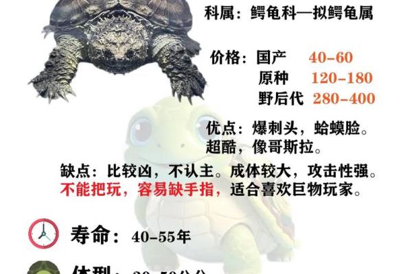 哪个生肖不宜养龟风水好不好