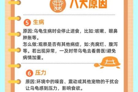 哪个生肖不宜养龟风水好不好