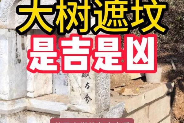 关于坟墓风水那些你不知道的事