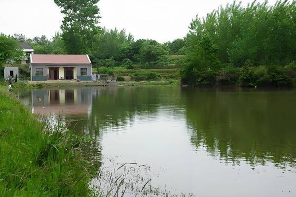 池塘填埋造房子风水