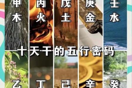 探秘八字，解锁人生密码