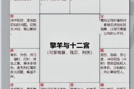 学会紫薇斗数后