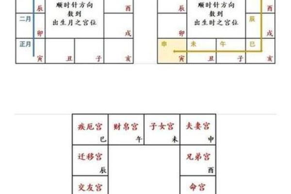 紫微斗数财政 紫微斗数里面的财星？