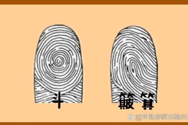 手指上的斗和簸箕代表什么 十个簸箕 簸箕和斗算命
