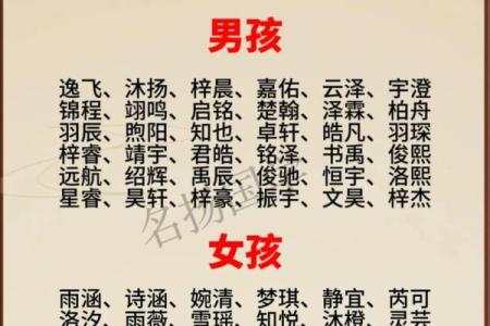 2019年5月19号丑时出生的男孩起名时要注意什么姓名