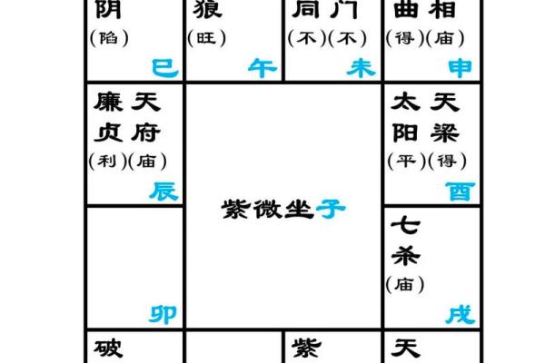 紫薇斗数全书4 紫薇斗数全书4