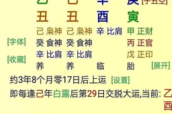 八字命人 八字命人