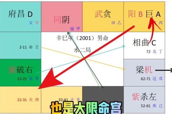紫薇斗数命格 紫薇斗数命格