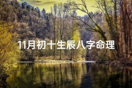 生辰八字解析-2024年农历十一月初十出生的孩子好吗